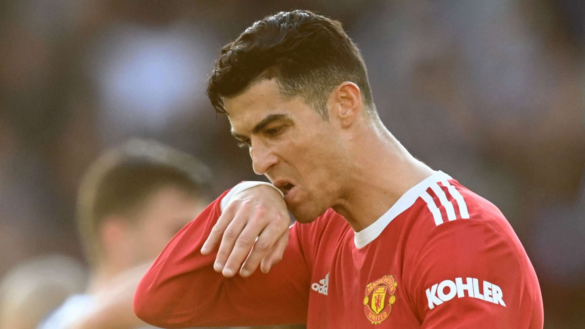 中不乏实力 中不乏实力